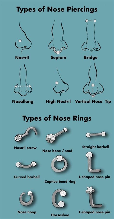 piercing nez chanel|Piercing Nez: Everything You Need to Know .